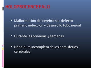 HOLOPROCENCEFALO
 Malformación del cerebro sec defecto
primario inducción y desarrollo tubo neural
 Durante las primeras 4 semanas
 Hendidura incompleta de los hemisferios
cerebrales
 