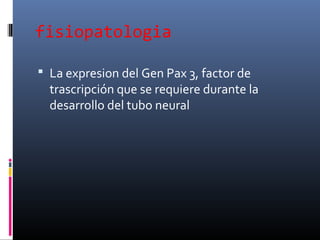 fisiopatologia
 La expresion del Gen Pax 3, factor de
trascripción que se requiere durante la
desarrollo del tubo neural
 