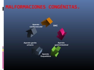 MALFORMACIONES CONGÉNITAS.
Aparato
Esquelético
Aparato
gastrointestinal
Aparato genito
urinario
SNC
Aparato
cardiovascular
 