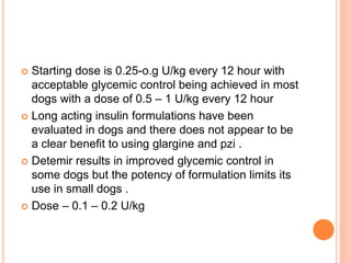 DIABETES IN DOGS AND CATS a brief approach | PPTX