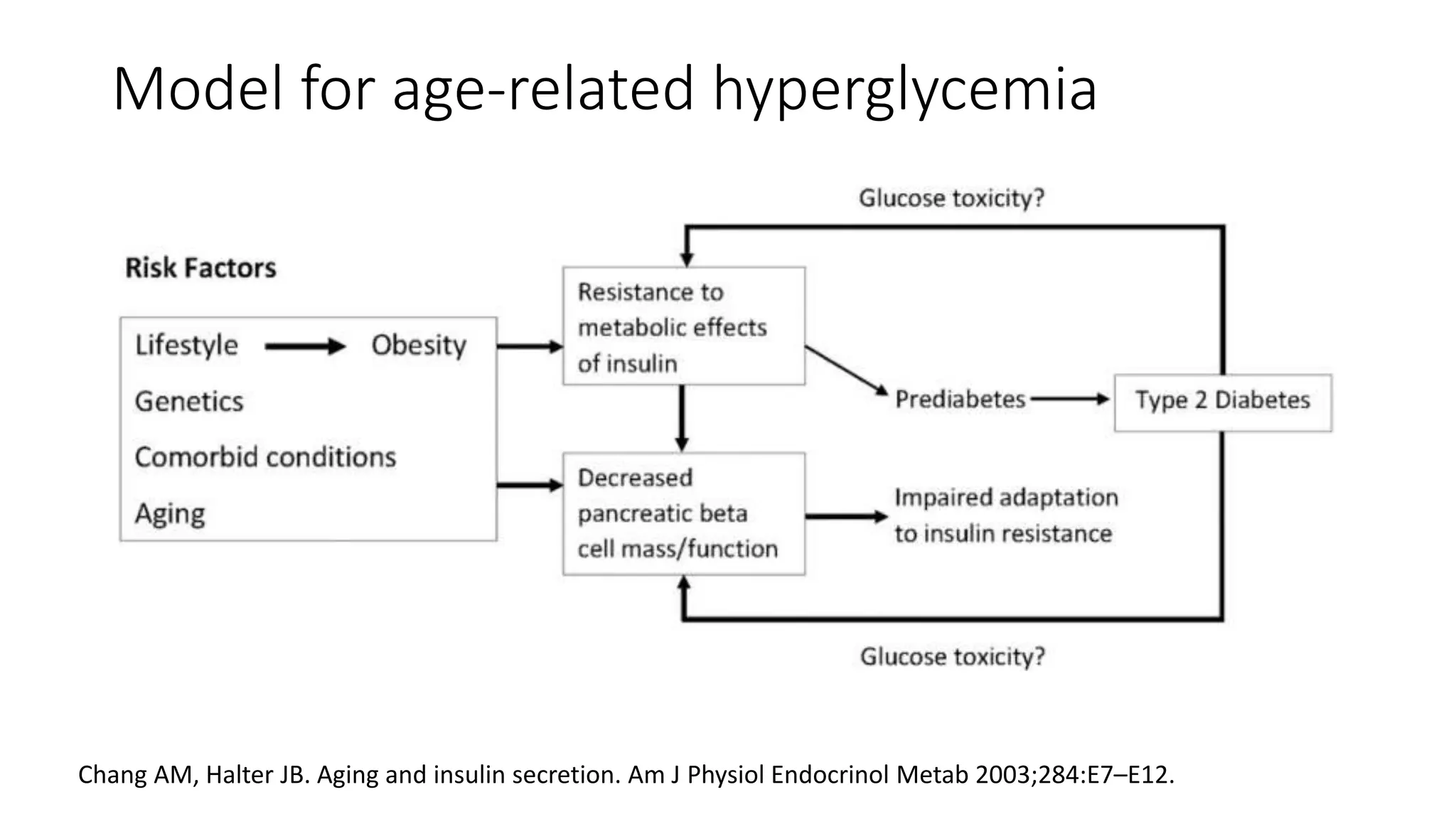 Comprehensive management diabetes in the elderly slide.pptx