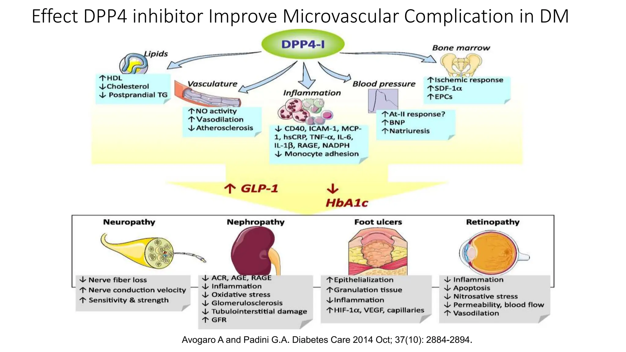 Comprehensive management diabetes in the elderly slide.pptx