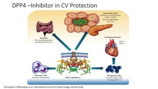 Comprehensive management diabetes in the elderly slide.pptx