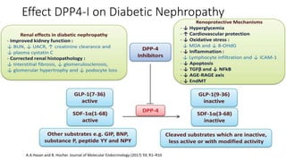 Comprehensive management diabetes in the elderly slide.pptx