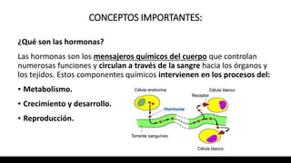 CONCEPTOS IMPORTANTES:
¿Qué son las hormonas?
Las hormonas son los mensajeros químicos del cuerpo que controlan
numerosas funciones y circulan a través de la sangre hacia los órganos y
los tejidos. Estos componentes químicos intervienen en los procesos del:
▪ Metabolismo.
▪ Crecimiento y desarrollo.
▪ Reproducción.
 