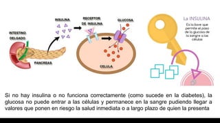 Si no hay insulina o no funciona correctamente (como sucede en la diabetes), la
glucosa no puede entrar a las células y permanece en la sangre pudiendo llegar a
valores que ponen en riesgo la salud inmediata o a largo plazo de quien la presenta
 