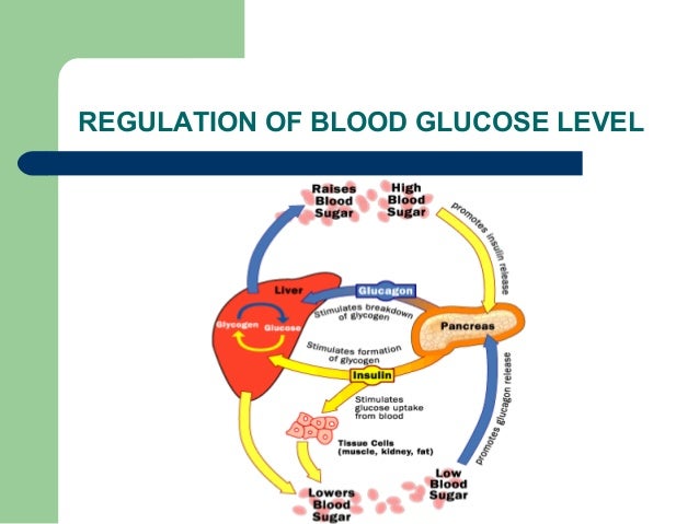 Recommendations For Management Of Diabetes During Ramadan