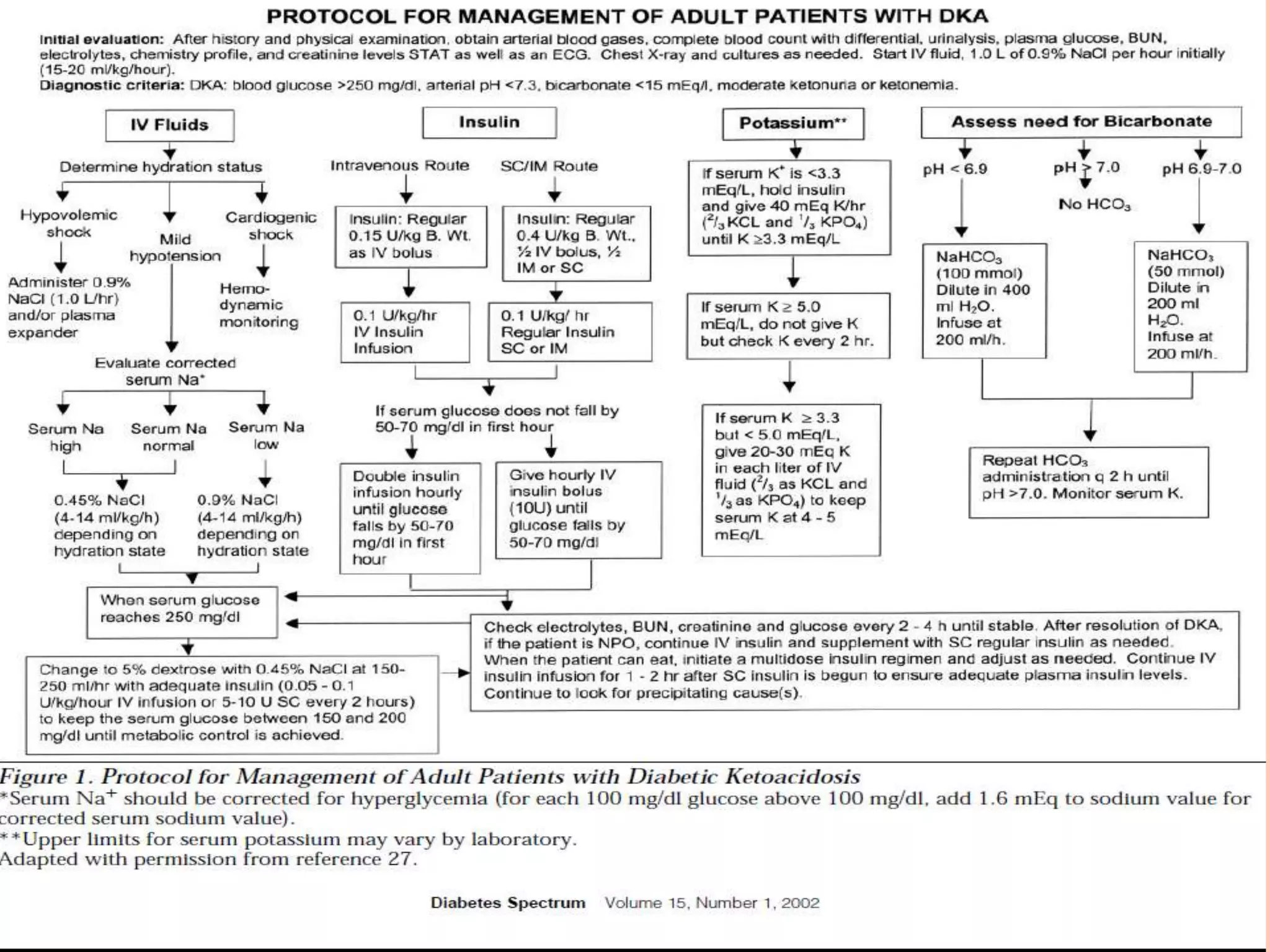 Diabetes ketoacidosis | PPTX