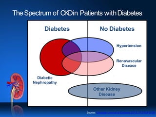TheSpectrum of CKDin Patients withDiabetes
Diabetes No Diabetes
Other Kidney
Disease
Diabetic
Nephropathy
Hypertension
Renovascular
Disease
Source: Canadian Journal of Diabetes 2013; 37:S129-S136
 