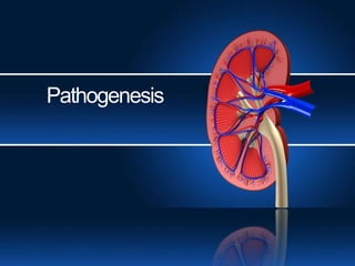 Pathogenesis
 