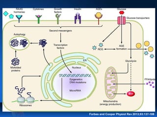 Forbes and Cooper Physiol Rev 2013;93:137-188
 