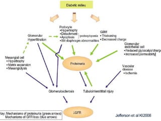 Jefferson et al KI2008
 