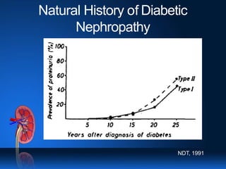 Natural History of Diabetic
Nephropathy
NDT, 1991
 