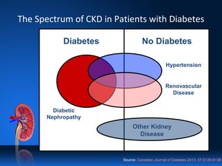 The Spectrum of CKD in Patients with Diabetes
Diabetes No Diabetes
Other Kidney
Disease
Diabetic
Nephropathy
Hypertension
Renovascular
Disease
Source: Canadian Journal of Diabetes 2013; 37:S129-S136
 