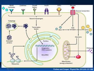 Forbes and Cooper Physiol Rev 2013;93:137-188
 