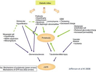 Jefferson et al KI 2008
 