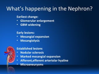 What’s happening in the Nephron?
Earliest change:
• Glomerular enlargement
• GBM widening
Early lesions:
• Mesangial expansion
• Mesangiolysis
Established lesions
• Nodular sclerosis
• Marked mesangial expansion
• Afferent,efferent arteriolar hyaline
• Microaneurysms
 