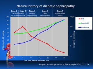 Stage 1 Stage 5
Chronic renal
failure
Stage 2 Stage 4
Overt
nephropathy
Stage 3
Incipient
nephropathy
Adapted from Mogensen et al, Diabetologia 1979; 17: 71-76
Natural history of diabetic nephropathy
Pre-nephropathy
Normoalbuminuria
 