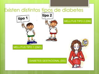 Existen distintos tipos de diabetes 
MELLITUS TIPO 1 (DM1) 
MELLITUS TIPO 2 (DM) 
DIABETES GESTACIONAL (DG) 
 