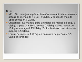  
Dosis:
 NPH: Se manejan según el tamaño para animales (perros y
gatos) de menos de 15 kg, 1UI/Kg, y si son de mas de
15kg se usa 0.5 UI/kg.
 Cristalinas: Se maneja para animales de menos de 3kg, 1
UI/kg, si pesa 3 a 10 kg se usa 2 UI/kg y si es mayor de
10 kg se maneja 0.25 UI/kg. En los bovinos con cetosis se
maneja 0.5 UI/kg.
 Lenta: Se maneja 1 UI/kg en animales pequeños y 0.5
UI/kg en grandes.
 