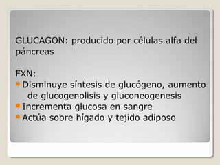 GLUCAGON: producido por células alfa del
páncreas
FXN:
Disminuye síntesis de glucógeno, aumento
de glucogenolisis y gluconeogenesis
Incrementa glucosa en sangre
Actúa sobre hígado y tejido adiposo
 