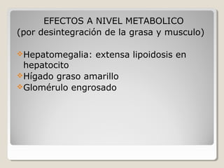 EFECTOS A NIVEL METABOLICO
(por desintegración de la grasa y musculo)
Hepatomegalia: extensa lipoidosis en
hepatocito
Hígado graso amarillo
Glomérulo engrosado
 