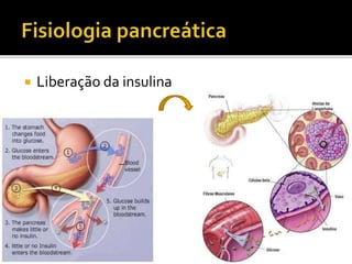  Liberação da insulina
 