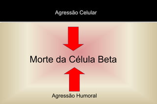 Morte da Célula Beta
Agressão Celular
Agressão Humoral
 