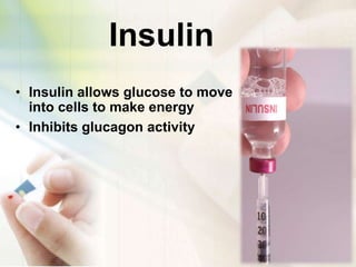 Insulin <br />Insulin allows glucose to move into cells to make energy<br />Inhibits glucagon activity <br />