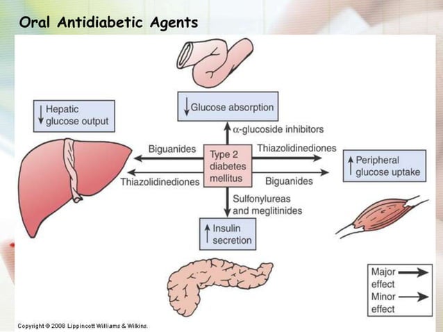 Diabetes Mellitus | PPT