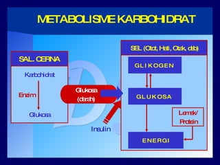 DM METABOLISME KARBOHIDRAT Karbohidrat Glukosa Enzim SAL. CERNA SEL (Otot, Hati, Otak, dsb) Glukosa (darah) Insulin E N E R G I Lemak/ Protein G L U K O S A G L I K O G E N 