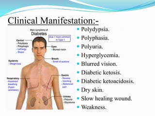 Clinical Manifestation:-Polydypsia.Polyphasia.Polyuria.Hyperglycemia.Blurred vision.Diabetic ketosis.Diabetic ketoacidosis.Dry skin.Slow healing wound.Weakness.