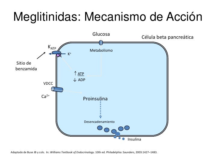 Diabetes mellitus Diabetes mellitus