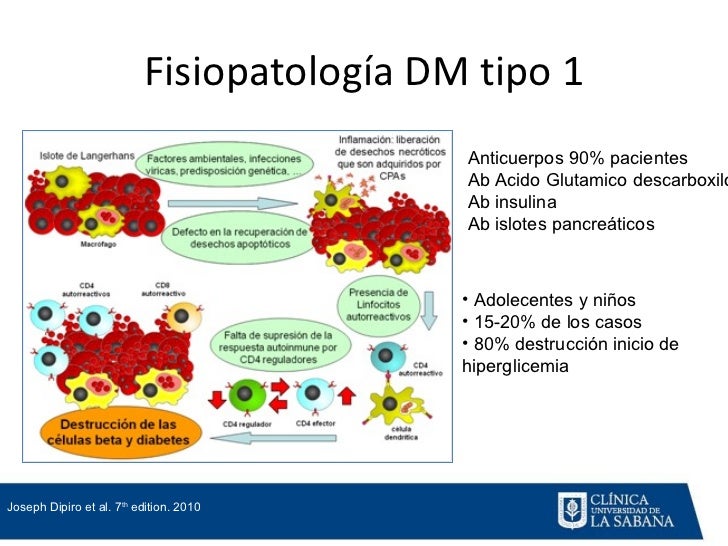 Diabetes Mellitus Farmacologia Clínica Diabetes Mellitus Farmacologia Clínica