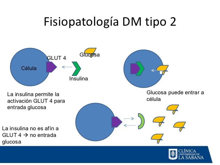 Diabetes Mellitus Farmacologia Clínica