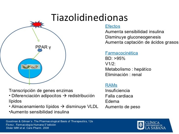 Diabetes Mellitus Farmacologia Clínica Diabetes Mellitus Farmacologia Clínica