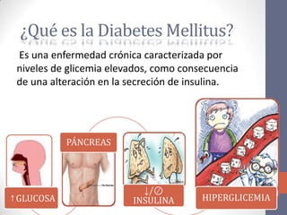 ¿Qué es la Diabetes Mellitus?
 Es una enfermedad crónica caracterizada por
 niveles de glicemia elevados, como consecuencia
 de una alteración en la secreción de insulina.




           PÁNCREAS




                           ↓/⊘
↑GLUCOSA                 INSULINA       HIPERGLICEMIA
 