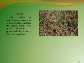 Açúcar
       Ao contrário dos
    outros tipos de açúcares,
    o betaglucano, retirado
    do capim natal rosa,
    pode      diminuir      a
    quantidade de glicose da
    corrente sangüínea.




11:30                           29
 