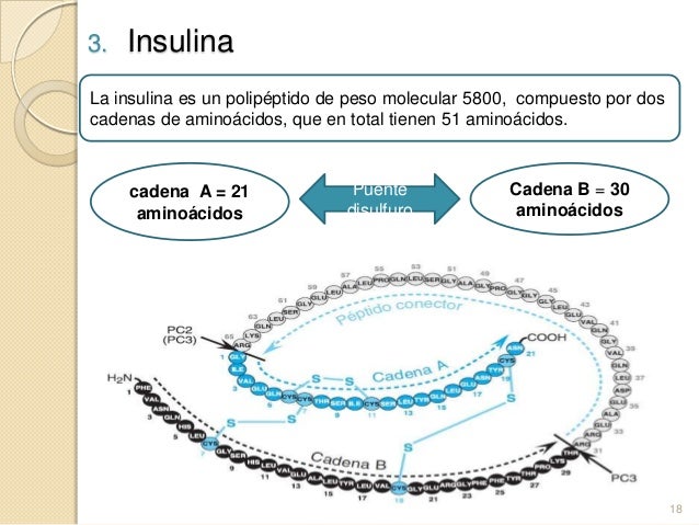Diabetes mellitus Diabetes mellitus