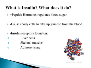 

-Peptide Hormone, regulates blood sugar.



-Causes body cells to take up glucose from the blood.

-Insulin receptors found on:

Liver cells

Skeletal muscles

Adipose tissue


 