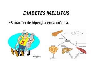 DIABETES MELLITUS
• Situación de hiperglucemia crónica.

 