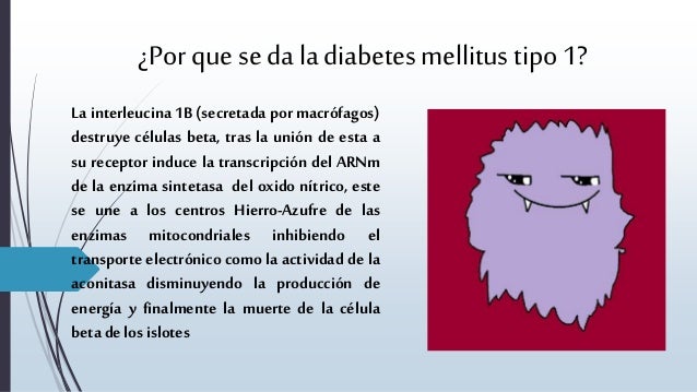 Diabetes mellitus Hiperglicemia Diabetes mellitus Hiperglicemia