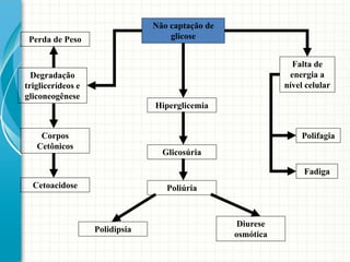 Não captação de
glicose
Falta de
energia a
nível celular
Polifagia
Fadiga
Perda de Peso
Glicosúria
Poliúria
Polidipsia
Diurese
osmótica
Hiperglicemia
Degradação
triglicerídeos e
gliconeogênese
Corpos
Cetônicos
Cetoacidose
 