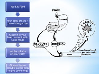 You Eat Food 
Your body breaks it 
down into glucose 
Glucose in your 
blood cause insulin 
to be made 
Insulin unlocks 
cellular gates 
Glucose leaves 
blood & enters cells 
to give you energy 
 