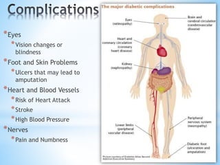 *Eyes 
*Vision changes or 
blindness 
*Foot and Skin Problems 
*Ulcers that may lead to 
amputation 
*Heart and Blood Vessels 
*Risk of Heart Attack 
*Stroke 
*High Blood Pressure 
*Nerves 
*Pain and Numbness 
 