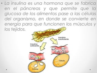 • La insulina es una hormona que se fabrica 
en el páncreas y que permite que la 
glucosa de los alimentos pase a las células 
del organismo, en donde se convierte en 
energía para que funcionen los músculos y 
los tejidos. 
 