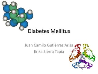 Diabetes Mellitus 
Juan Camilo Gutiérrez Ariza 
Erika Sierra Tapia 
 