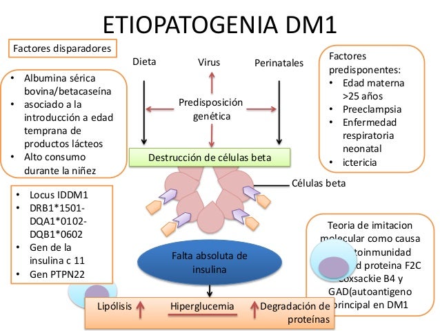 Diabetes Mellitus