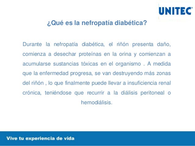 ¿Qué es la Nefropatía Diabética? ¿Qué es la Nefropatía Diabética?