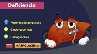 Deficiencia
Fosforilación de glucosa
Gluconeogénesis
Glucogénolisis
HIPERGLUCEMIA
 